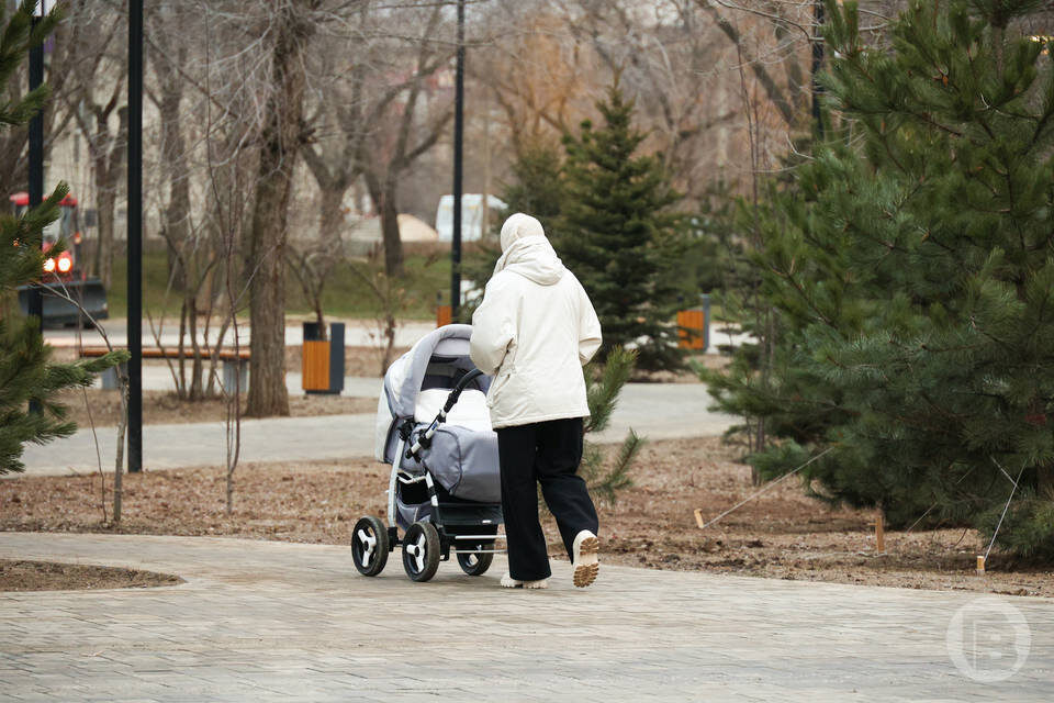    фото: Дмитрий Рогулин / "Городские вести"