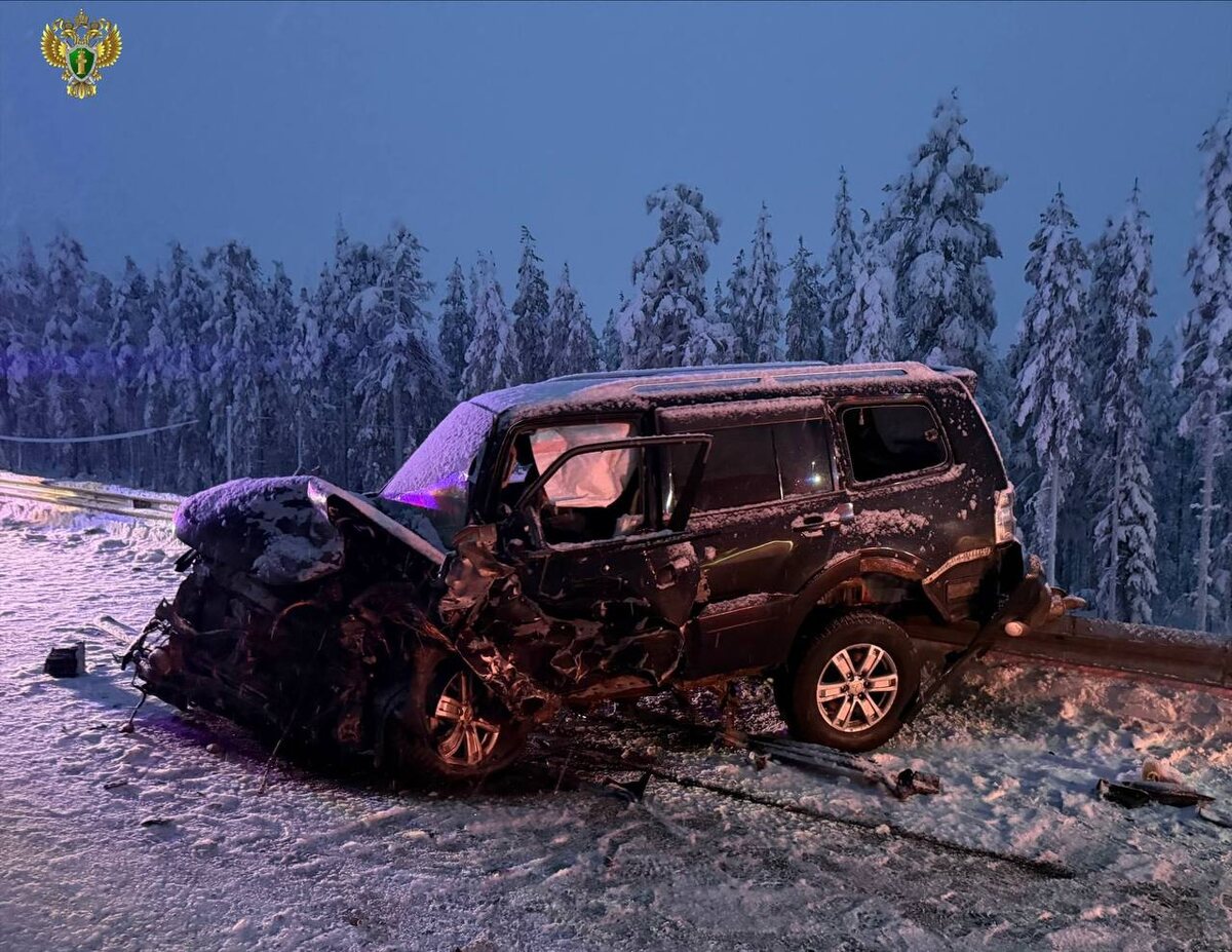    Фото: Прокуратура Республики Карелия / Telegram