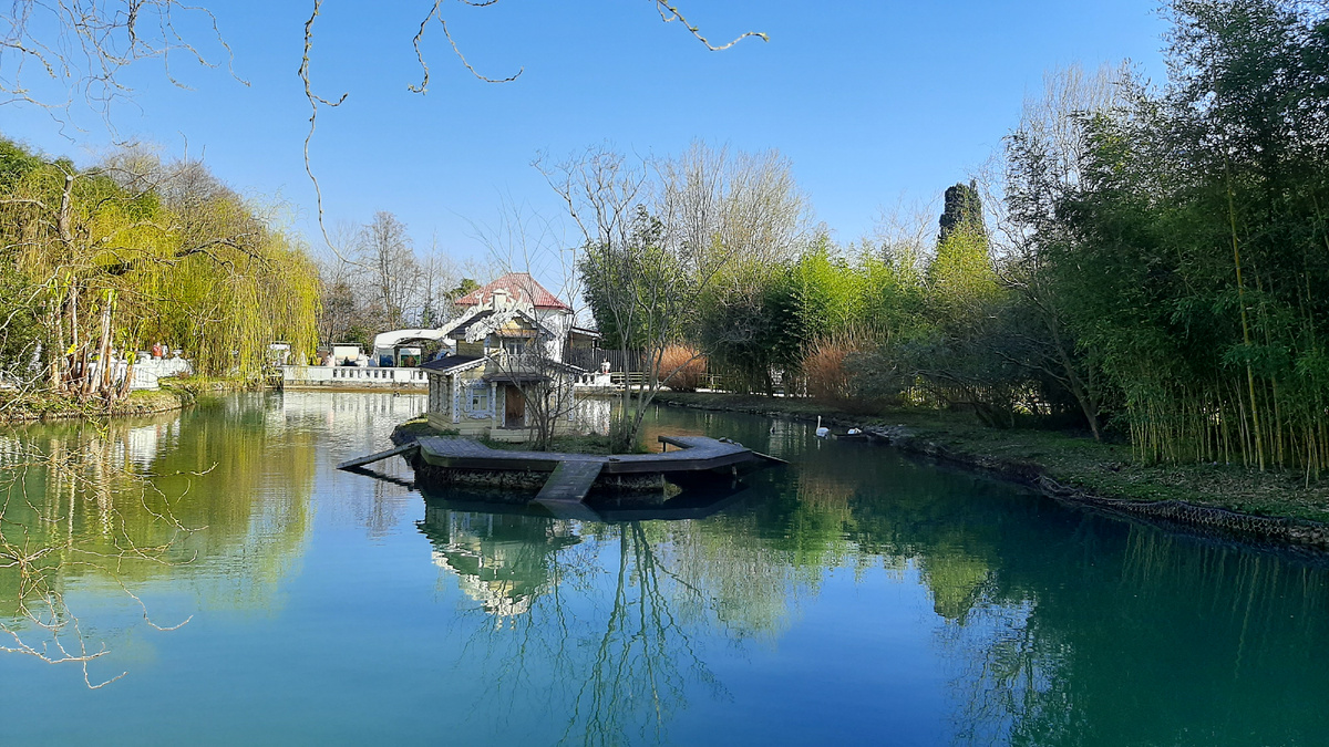 Пруд с домиком для птиц