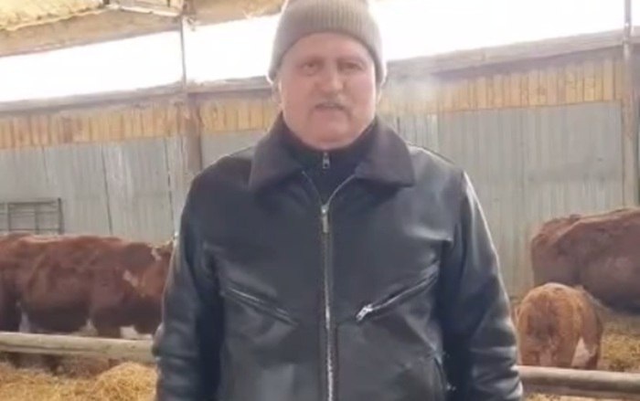 Власти Новосибирской области подтвердили изъятие скота у фермера в Козихе