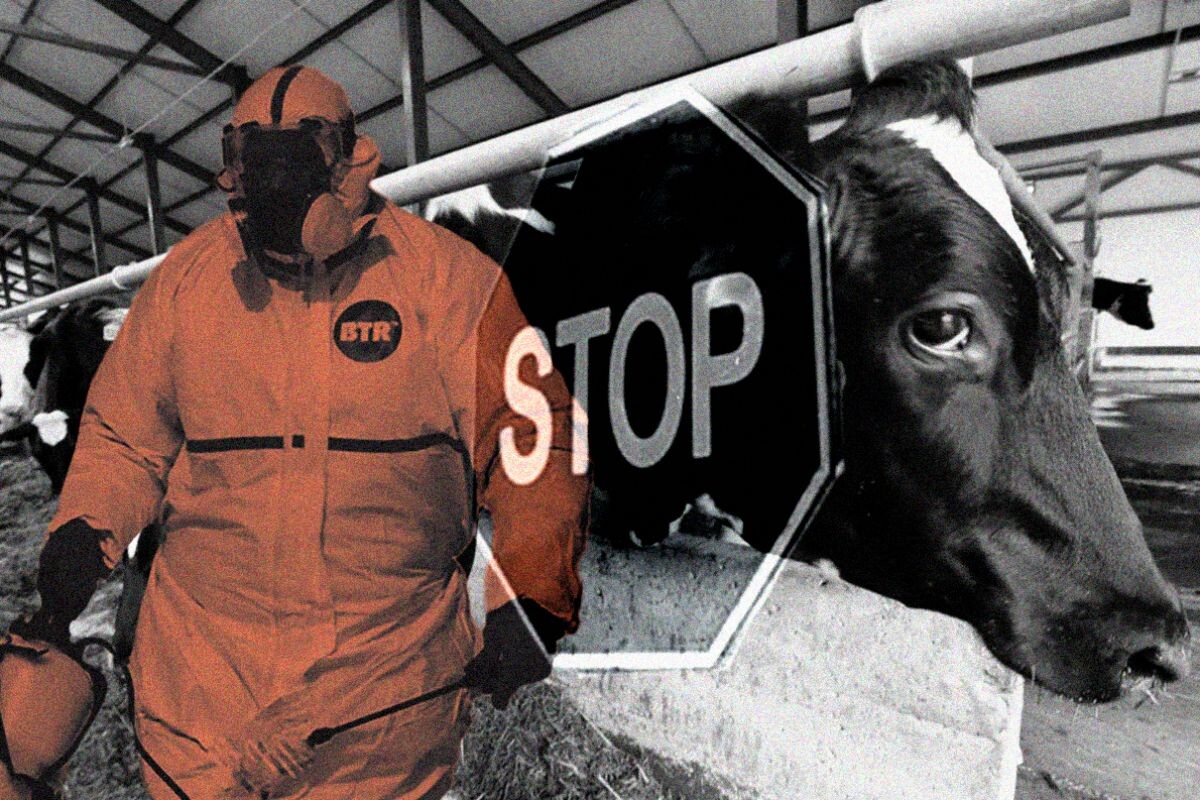 Коллаж: «Вот Так»