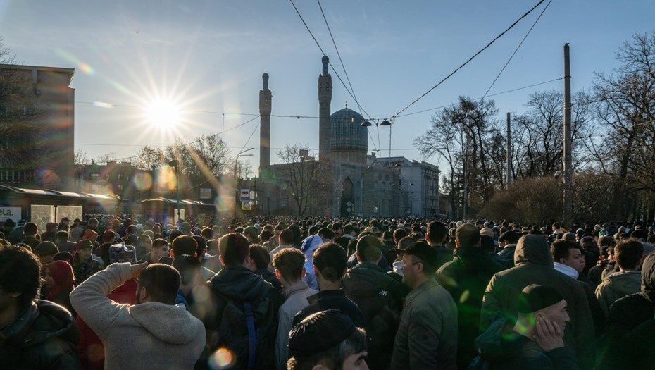    Автор фото: Тихонов Михаил