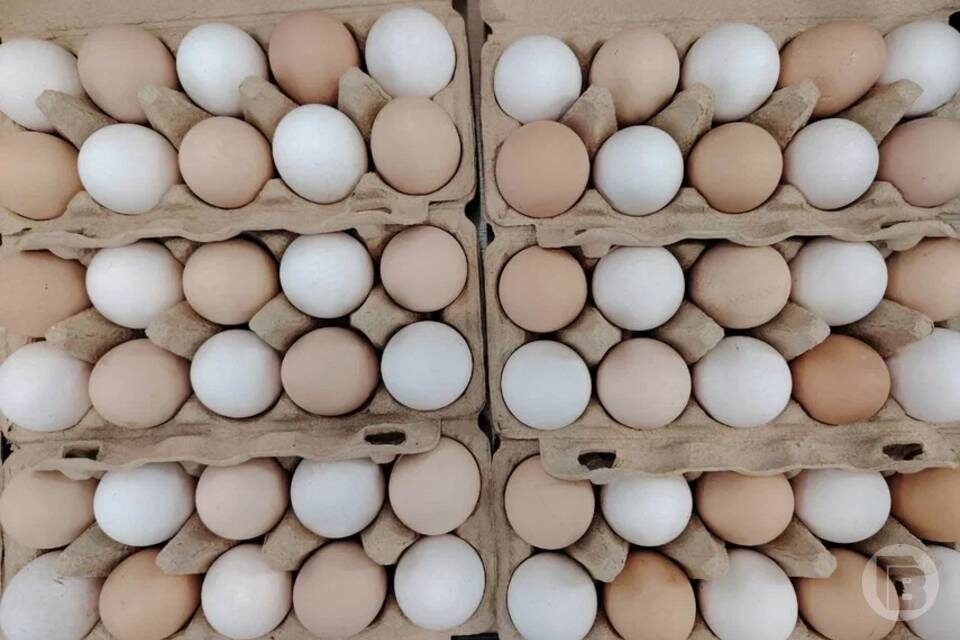    Фото: "Городские вести"