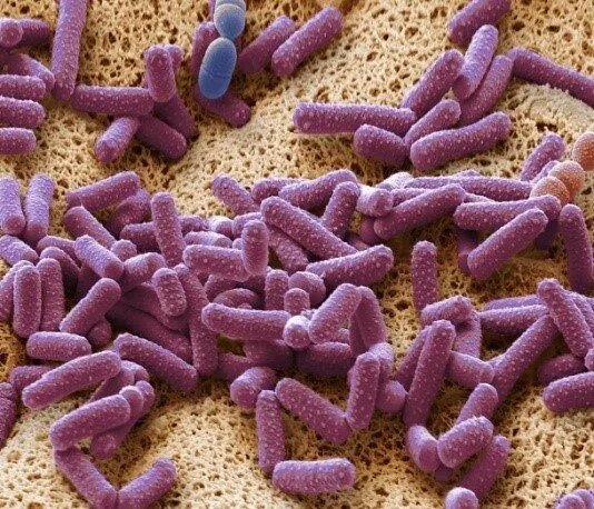    Фото: Зайцев+