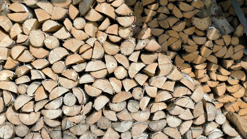    Фото из архива редакции