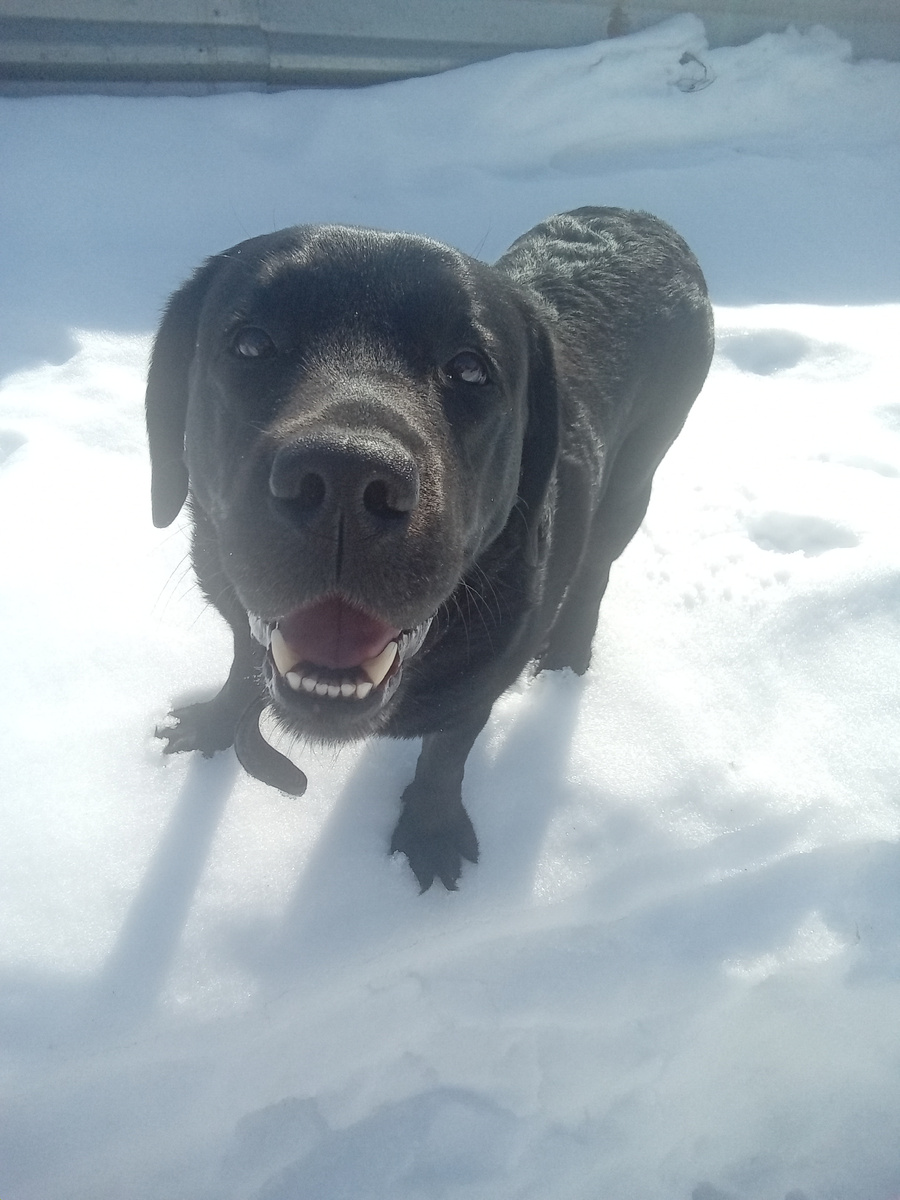 Фото автора. 