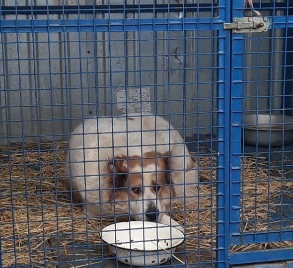 В ПРИЮТ ОЧЕНЬ НУЖНА КРУПА