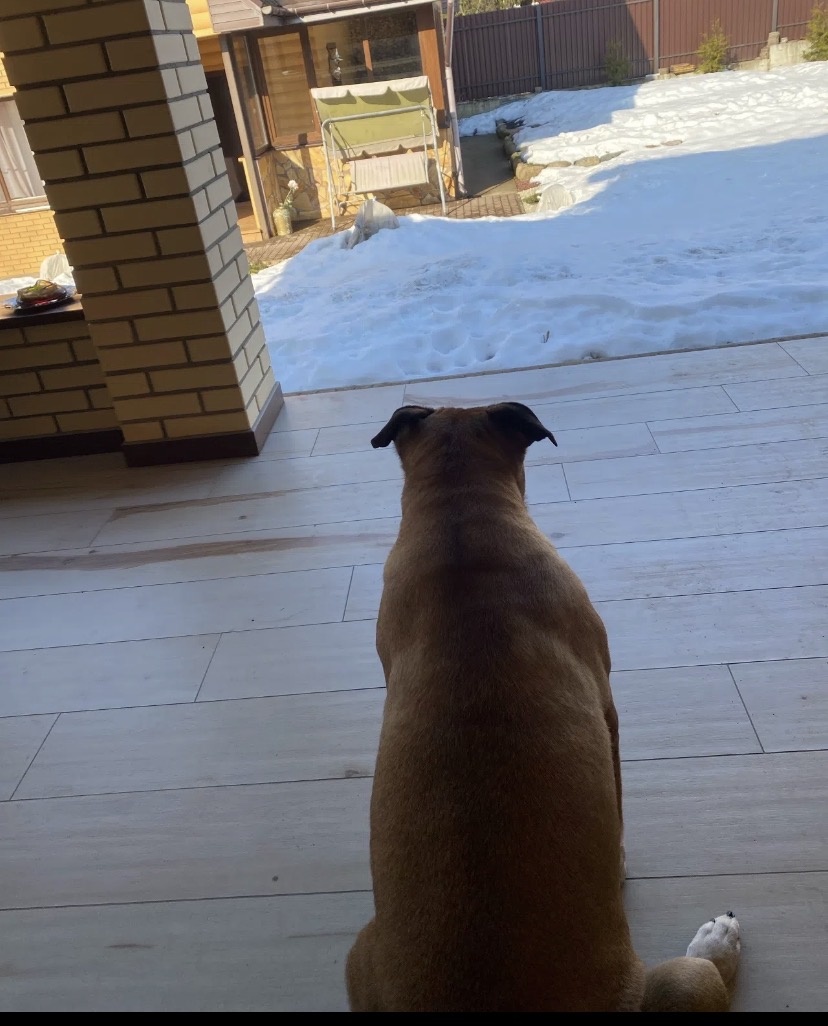 Почти пришла она ,но противный снег -какая досада )