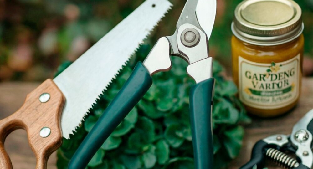 Правильная весенняя обрезка плодовых