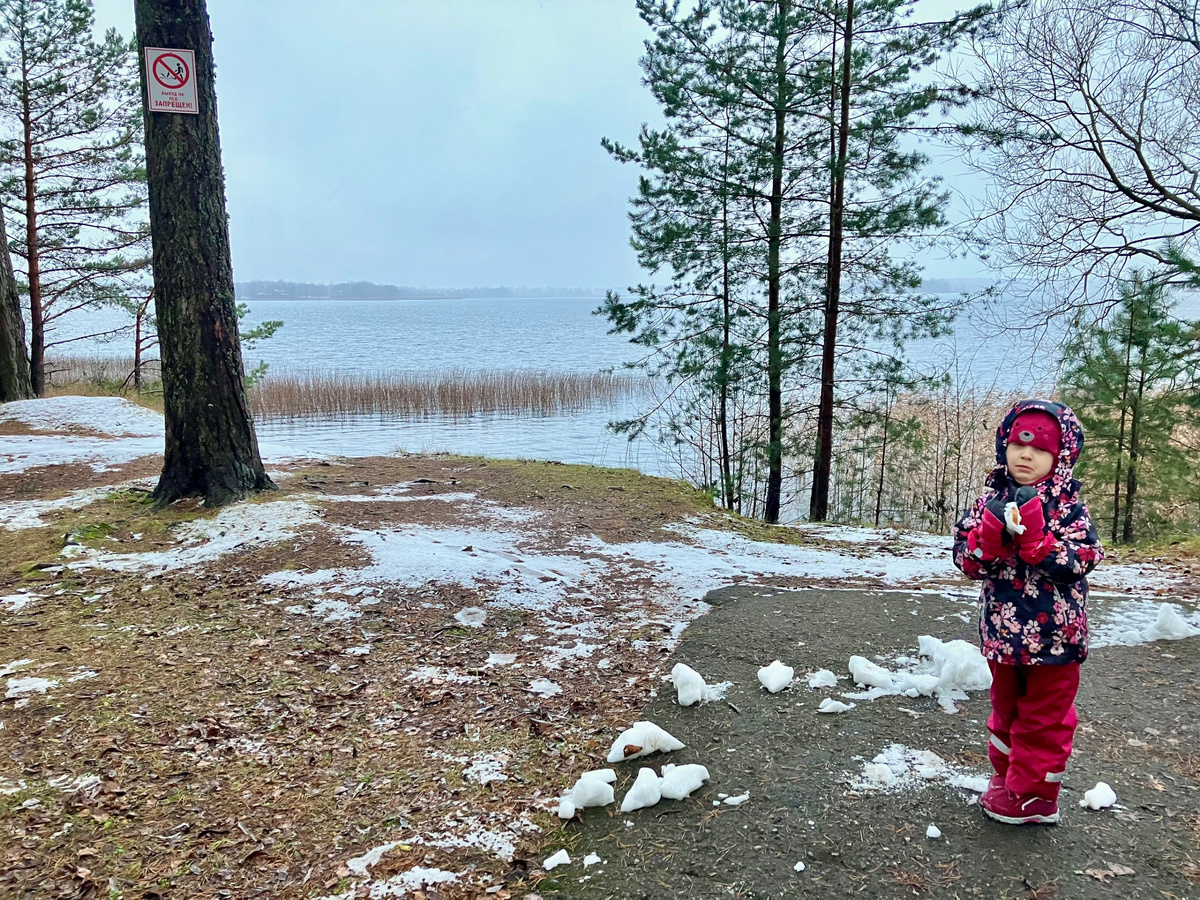 Фото автора. Ноябрь 2025 г. 