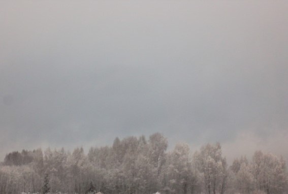 Фотография автора