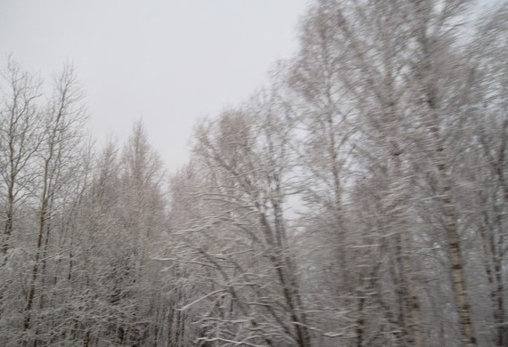 Фотография автора