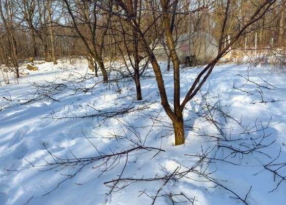 Источник фото shutterstock.com