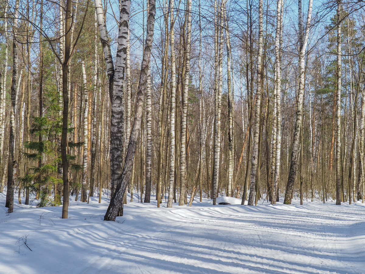 Классика нарезана слева по ходу движения. Фото Павел Каманин