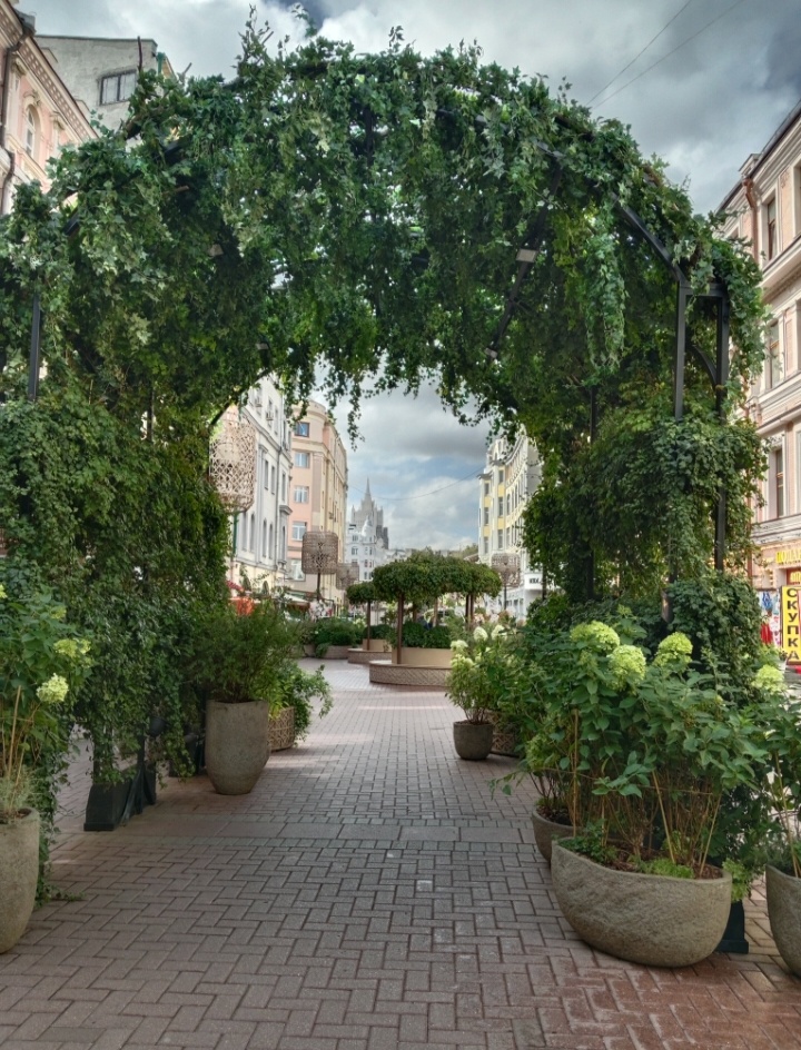 Скоро зелёное везде будет 