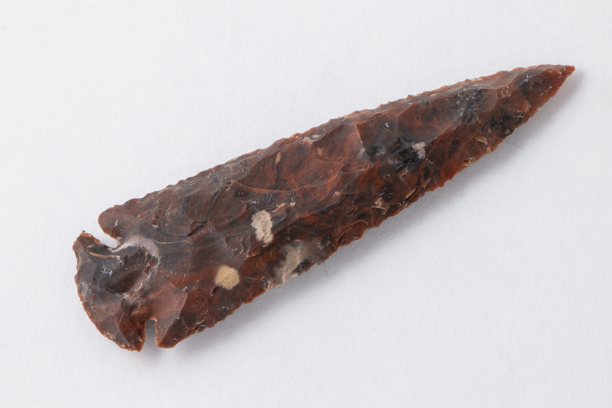 Примерное изображение наконечников того времени. Фото: Wirestock Creators/Shutterstock/Fotodom