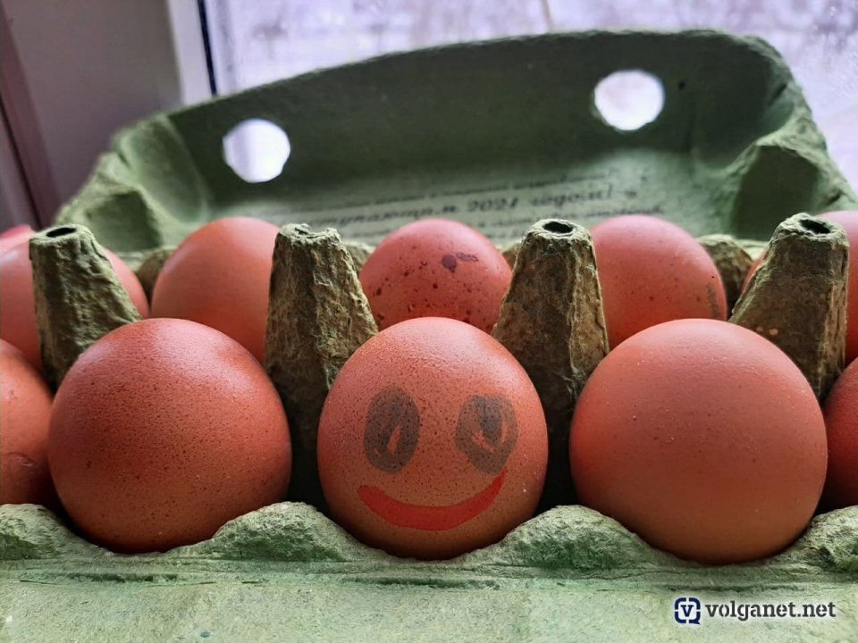 Фото: Volganet.net