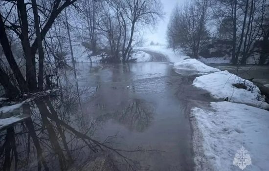    Фото: Управление МЧС по Орловской области