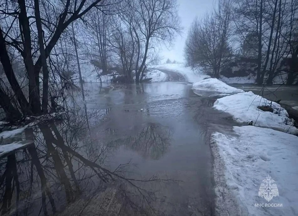    Фото: Управление МЧС по Орловской области