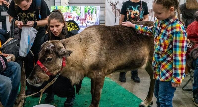    медиасток.рф