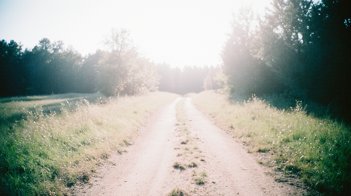 Чужая мечта