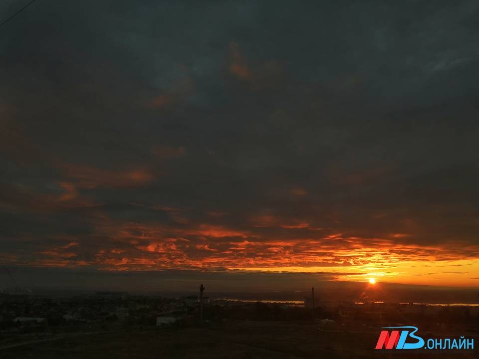    Фото: МТВ.ОНЛАЙН / Елизавета Денисова