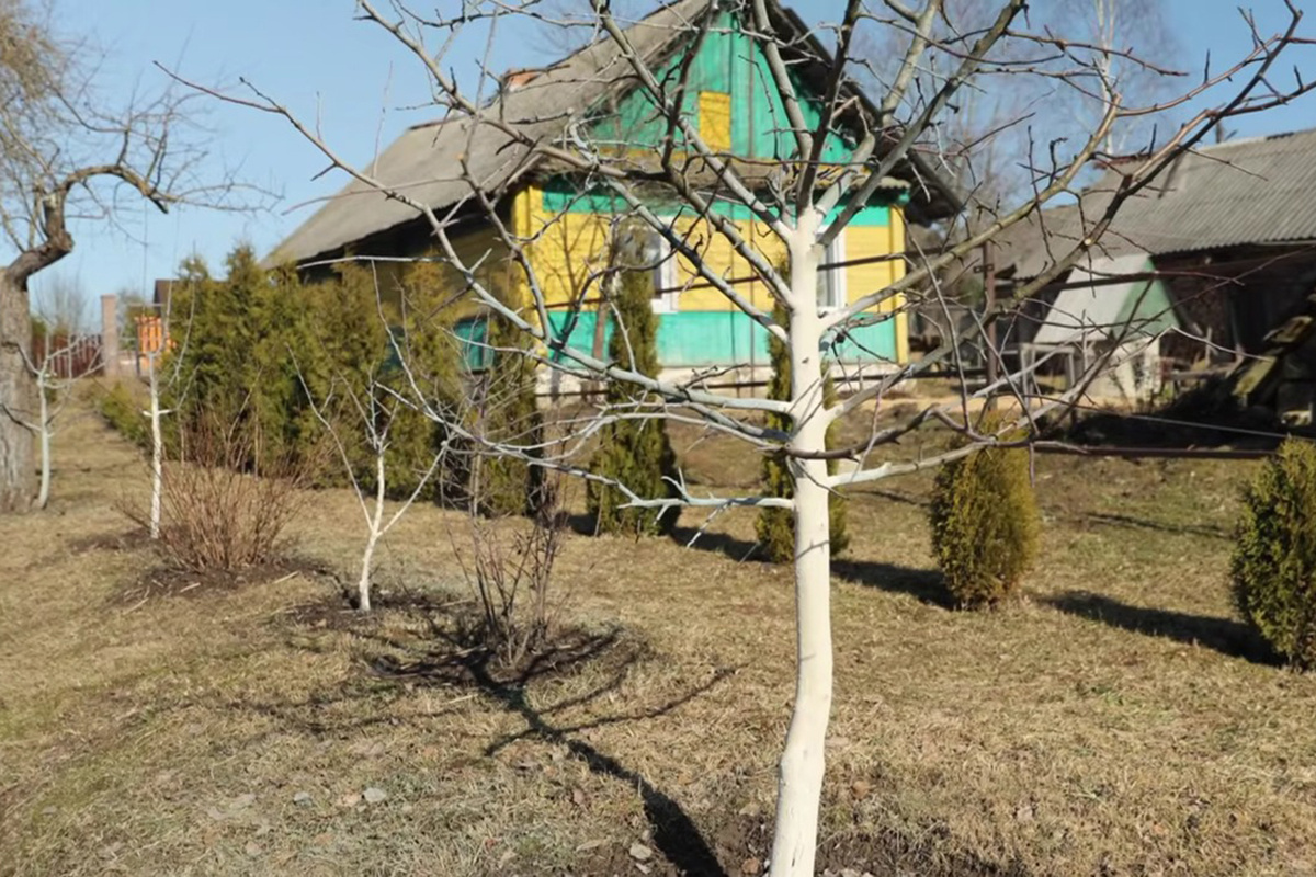 Скриншот видео