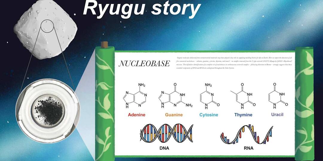 Астероид Бенну доставил на Землю строительные блоки жизни.