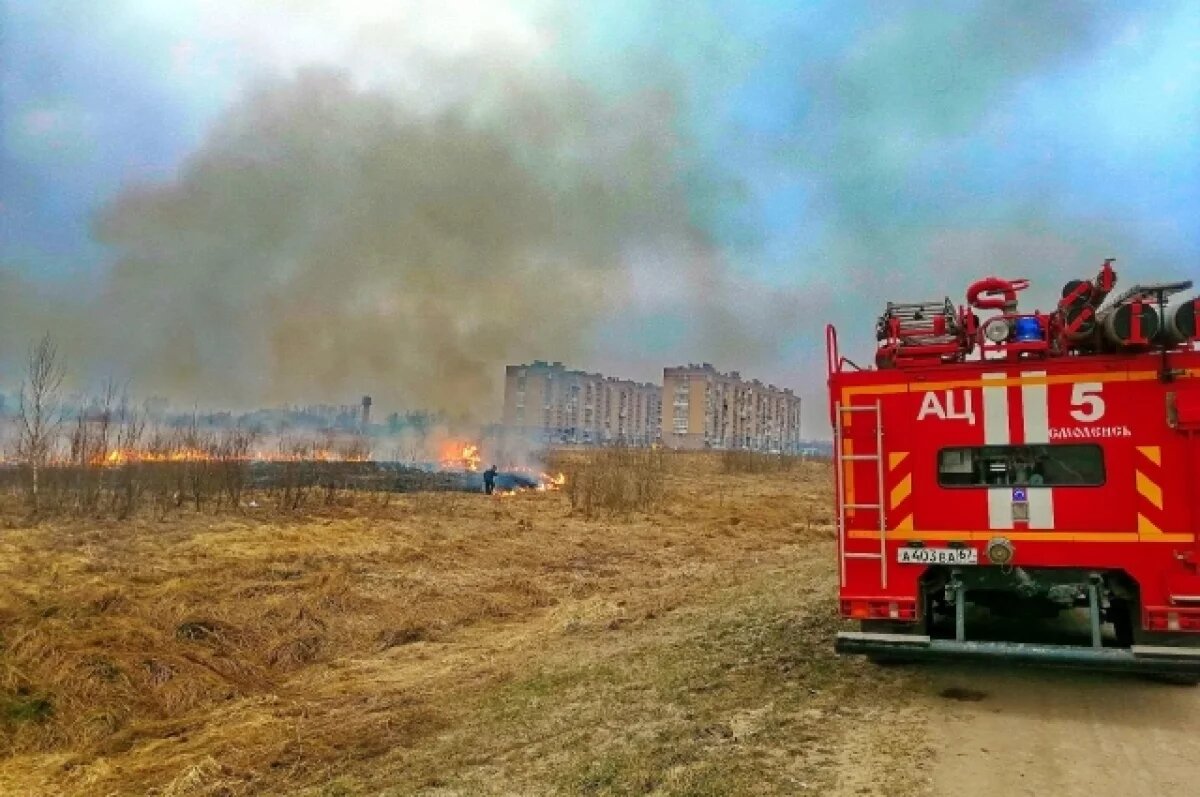    Рейды по предотвращению палов сухой травы будут проводить в Смоленске