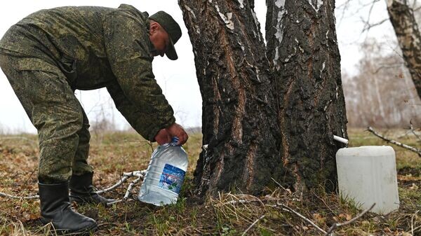    © Sputnik / Алексей Мальгавко
