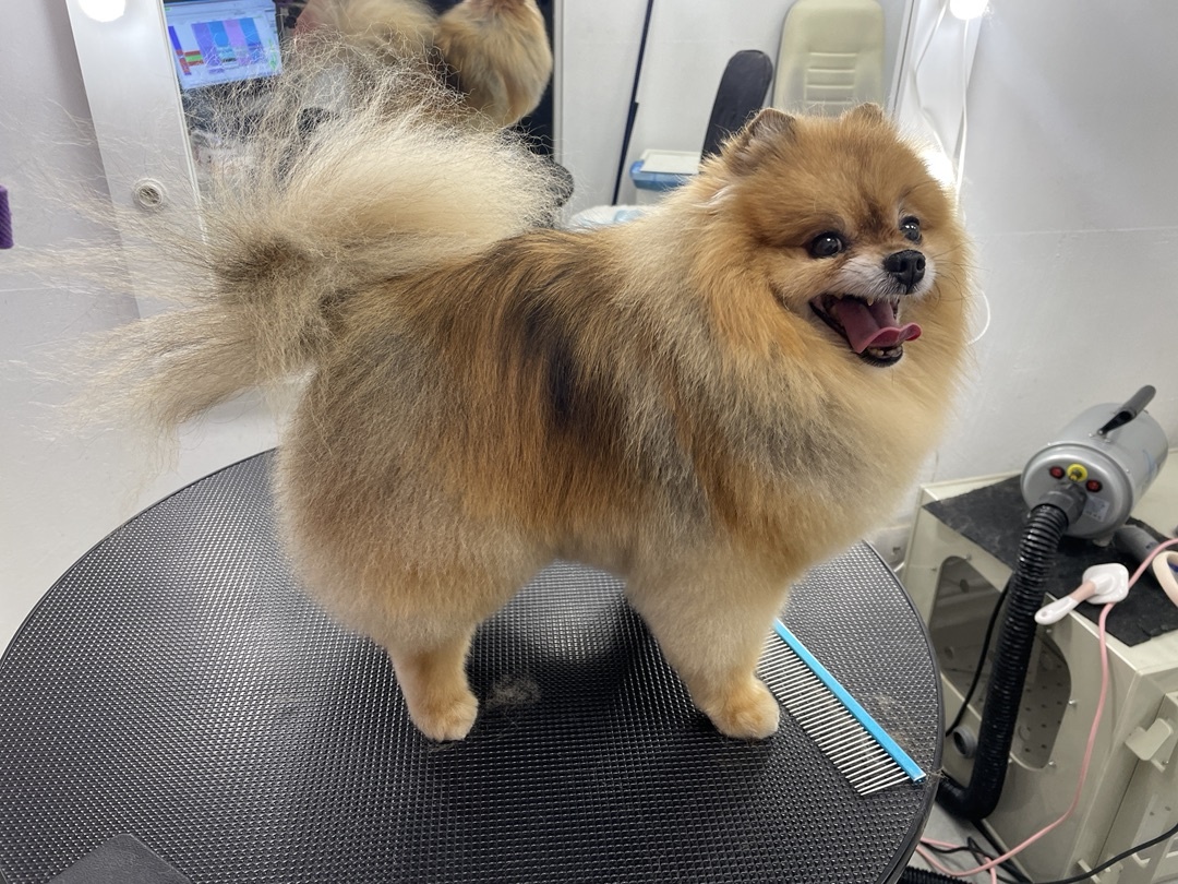 Красиво, аккуратно и главное — безопасно для здоровья