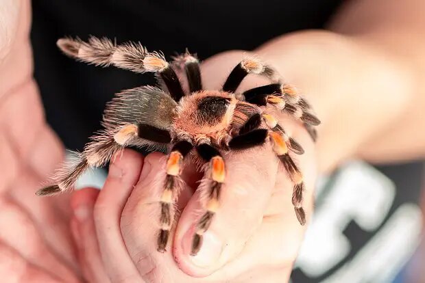    Источник: lenta.ru/ Евгений Иванов