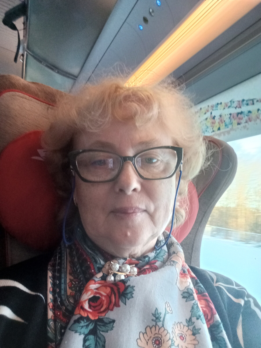 Сапсан везет меня в Питер.