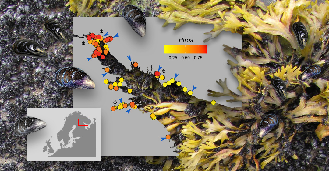 Фото: Вадим Хайтов
