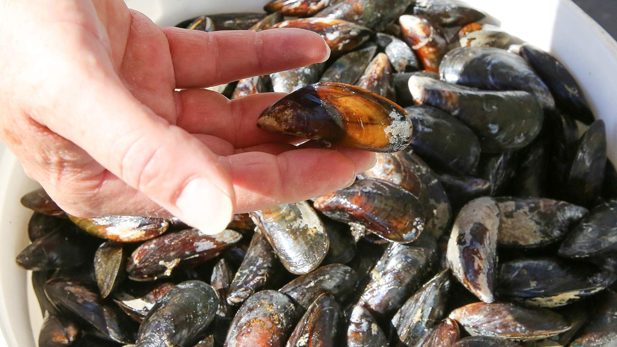 Фото: Global Look Press/Bodo Marks