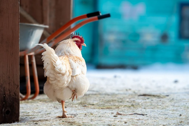 Фото: Людмила Ковалева, из архива редакции