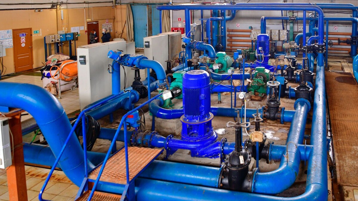    Фото: Андрей Ткачев/«Ямал-Медиа»