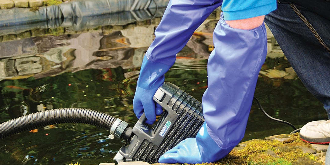 Уход за декоративным прудом: сезонный гид, чтобы вода всегда была чистой, а рыбы и растения — здоровыми 💧🌱🐟