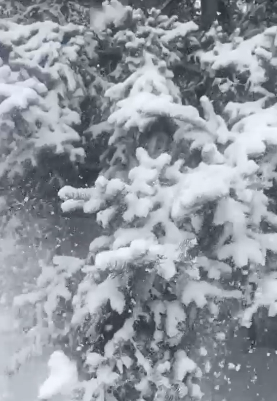    Источник фото: