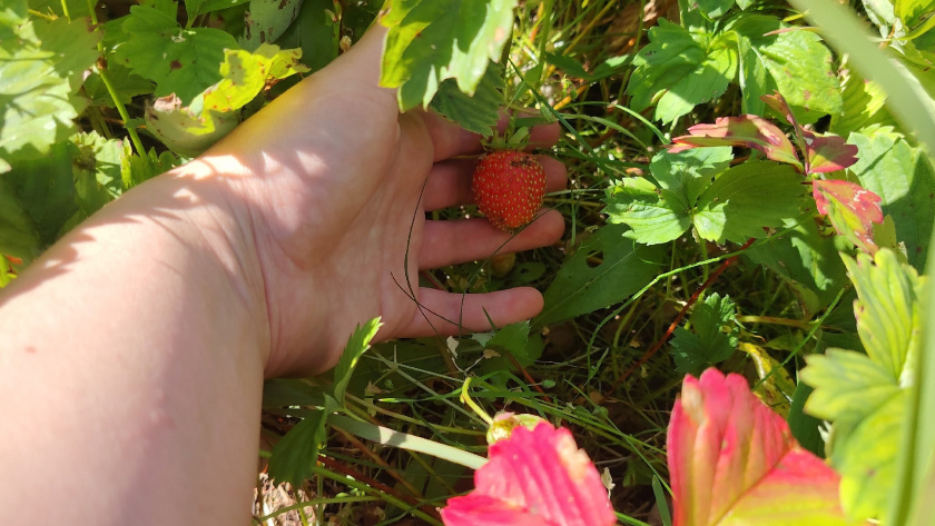    Фото из архива редакции