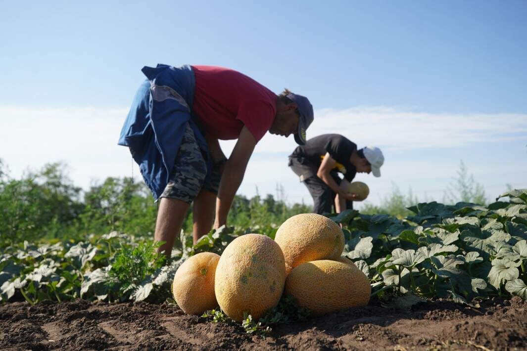 Фото: ИЗВЕСТИЯ/Эдуард Корниенко
