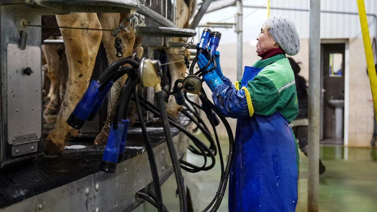 Фото: ИЗВЕСТИЯ/Сергей Лантюхов