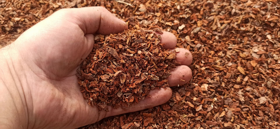 Почему мульча иногда работает против огородника 🌿❌