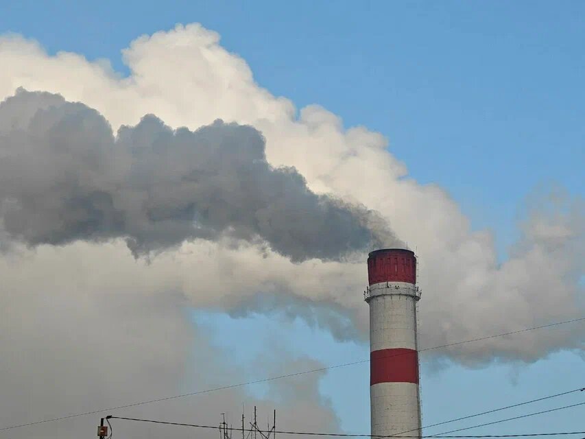    Фото: Юрий Серебренников/BFM Кубань