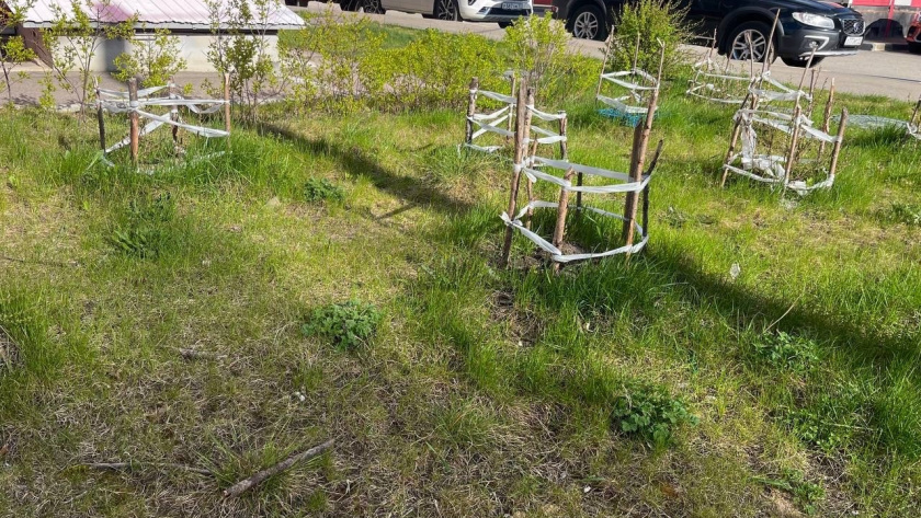    Фото "Про Город"