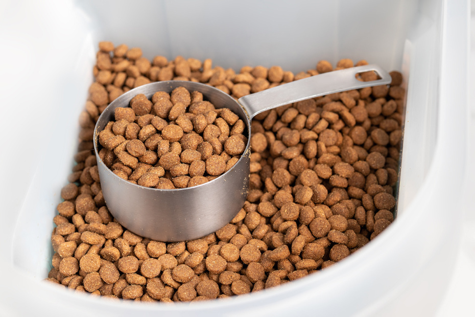    Shutterstock/FOTODOM