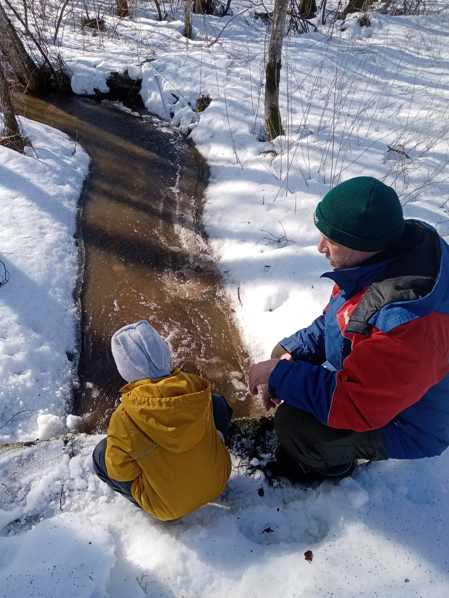 Труба под дорогой. 