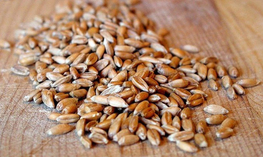 Много растительного белка и витаминов группы В, низкий гликемический индекс. В чем польза каши из полбы