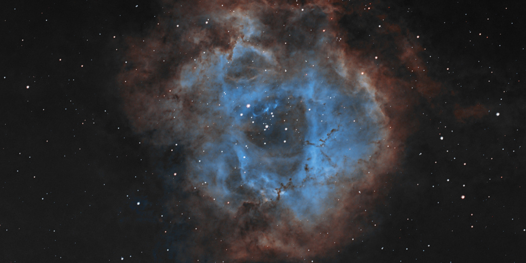 Туманность "Розетка" (NGC 2237) - первый свет Seestar s30 pro⁠