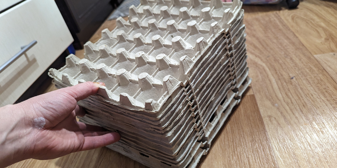 Этот метод посадки моркови дома очень удобен. Он позволяет создать идеальные условия для роста, а затем легко перенести "грядку" на дачу.